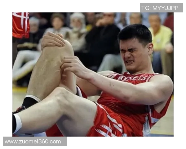 姚明拳击冠军之路：从篮球巨星到搏击赛场的传奇转型与奋斗故事